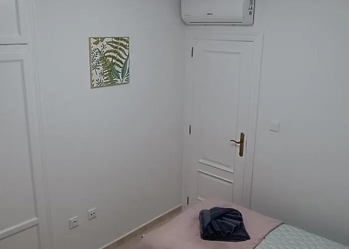 Paloma * 또레비에하