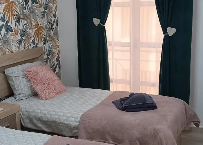 Paloma 또레비에하